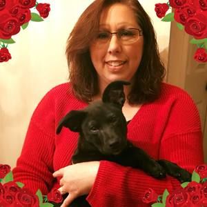 Meet your Posher, Brandi